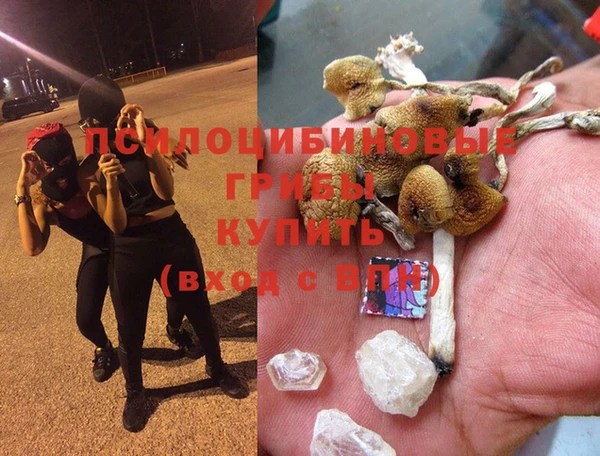 гидропоника Абинск