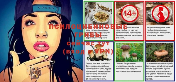 мяу мяу мука Абдулино