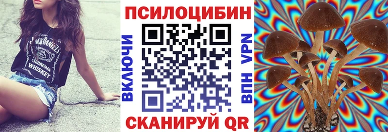 Псилоцибиновые грибы Psilocybe  Собинка 